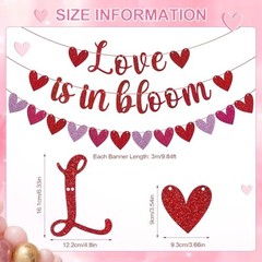 3 Pack Glittery Heart Garland Banner Pre-Strung Heart Bunting Valentines Day
