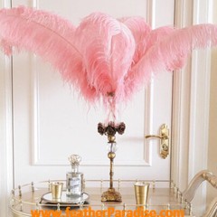 Blush Pink Ostrich Feathers 14-16 inches 50 Pieces Dozen Blush Feather Wedding