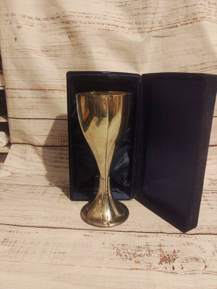 THINGS REMEMBERED SILVER PLATED WEDDING TOASTING GOBLETS ORIGINAL VELVET CASE
