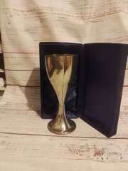 THINGS REMEMBERED SILVER PLATED WEDDING TOASTING GOBLETS ORIGINAL VELVET CASE
