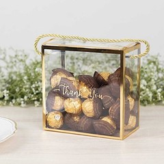 CLEAR GOLD 25 PVC Favor Boxes with Rope Handles and Thank You Print Party