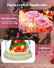 HVY Preserved Flowers in Glass for Her,Pink Real Rose Bouquet with LED Light,Ete