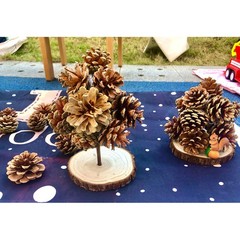 Wood Slices Round Discs Tree Bark Log Wooden Circles Rustic Craft DIY 3cm – 30cm