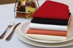 250 Packs 20″ x 20″ Polyester Napkins Wedding Party Event Catering 24 COLORS USA