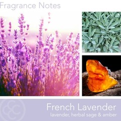Colonial Candle French Lavender Scented Jar Candle Classic Cylinders Collection