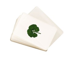 LAMINATED REAL GENUINE SIX Leaf Clover Shamrock Trifolium repens – CERTIFIED