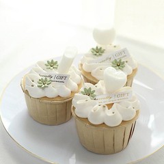 Clear 150 Mini 4ml Plastic Dessert Toppers Cupcake Pipette Flavor Infusers Party