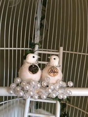 French Victorian Large Bird Cage 6 ft (Approx) Wedding Card Holder