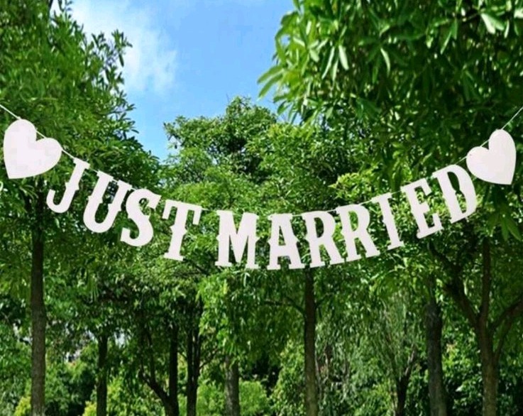 Just Married Car Decorations Just Married Wedding Banner Set Just Married Sign