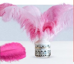 Blush Pink Ostrich Feathers 14-16 inches 12 Pieces Dozen Blush Feather Wedding