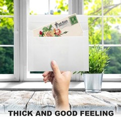 100 Packs 4x5Envelopes,White A2 A2(100pack), White A2(100pack)