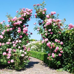 7.9 FT Metal Backdrop Stand Garden Arch Arbor Trellis for Climbing Plants Black