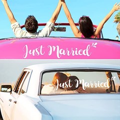 4 Sets Just Married Car Decorations Ornate Magnets 12 x 7.5, Wedding Day Car