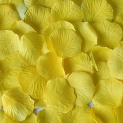 4000 Yellow Silk Rose PETALS Wedding Party Decorations Supplies WHOLESALE SALE