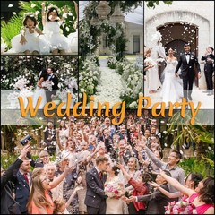300 PCS Real White Rose Petals for Wedding 2.82oz Fresh Rose Petals for Flowe…