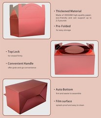 Biodegradable Rose Gold Gable Treat Boxes 30 Pack Eco Friendly Gift Packaging