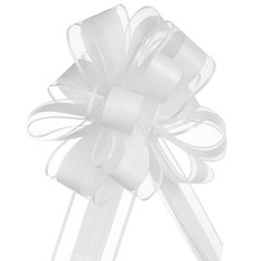 Allgala 12-pc 6 Inch Large Everyday Pull Bows