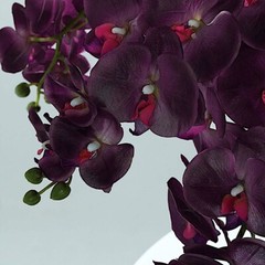 2 EGGPLANT 40″ tall Faux Silk Orchid Flowers Sprays Stems Wedding Decorations