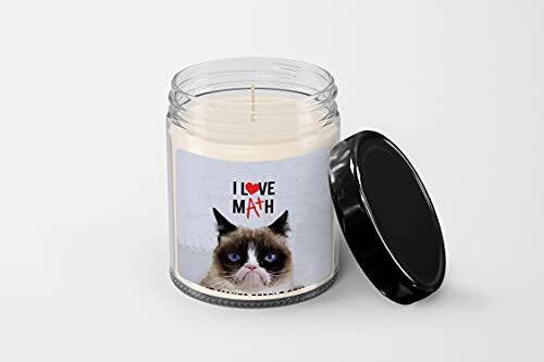 I Love Math it Makes People cry Candle – Soy Wax Candle – Hand Poured Candle