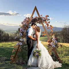 2X Heavy Duty Triangle Wedding Arch Backdrop Stand Flower Balloon Banquet Archwa