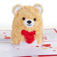 Lovepop Plushpop Soft Animal Pop-Up Card for Her and Him – 3D Bear Everyday G…