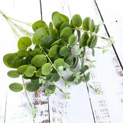 Eucalyptus Greenery 2 bushes Light Green Branches Artificial Wedding Party Home