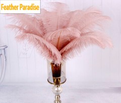 Dark Blush Pink 100 Pieces Ostrich Feathers 12-14 inches Wedding Centerpices