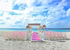 Pink Carpet Runner for Party, 2.6X15ft, 130GSM Felt Non-Woven with Double