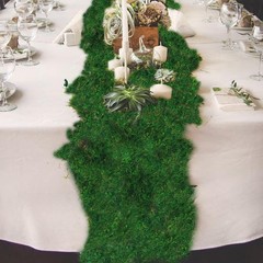 FAICOIA Moss Table Runner Preserved Dried Green 12 x 112 Inch/30x285cm,