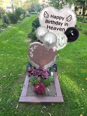 Nine Happy Birthday 18 Inches Heart Balloon, 12 Round Balloons, Silver