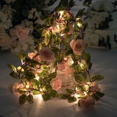 7 feet Blush Roses Leaves FAIRY LIGHTS Battery Operated LED Garland Party Events