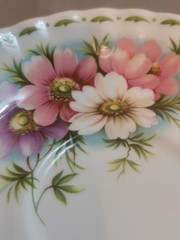 Royal Albert October Cosmos Teacup and Saucer: 1970 England Bone China-Mint