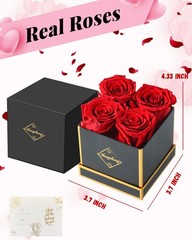 Changshunqi Forever Flowers, Preserved Roses in a Box, Eternal Rose Red