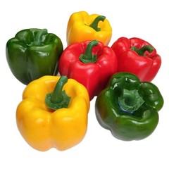 Lorigun Artificial Bell 3.1 inches (d) x 3.5 (h), 6pcs Peppers