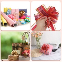 10 Pack 6 Inch Large Pull Bow Gift Wrapping Ribbon for Car Presents Fruit Green