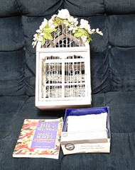 White Bird Cage Wedding Shower Party Card Holder – Ring Pillow -Book for Ideas