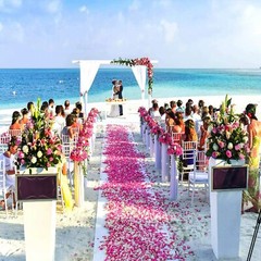 1000 Silk Rose Petals Fake Flowers Confetti Engagement Wedding Romantic Decor US