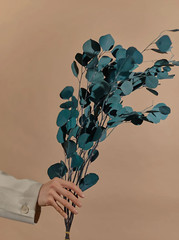 Eucalyptus Populus Dried & Fresh Wedding Home Décor Arrangement Party Baby Blue