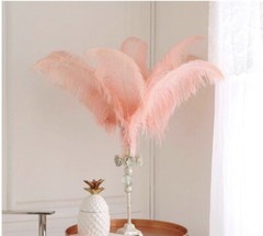 Peach Blush Pink 12 Pieces Ostrich Feather 12-14 inches Dozen Wedding Centerpiec