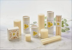 8 Inch Hand-Rolled Beeswax Taper Candles – Little 8 Single Pair, Ivory