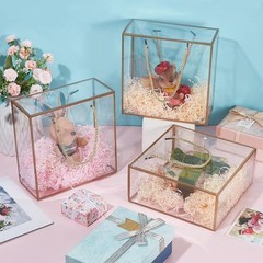 10 Packs Clear PET Plastic Gift Box 7.8×7.8×3.5 Inch Treat Gift Boxes W/ Gold