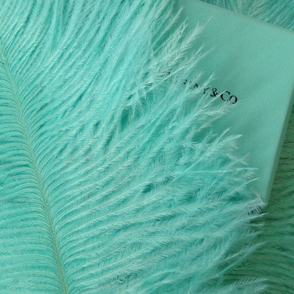 Aqua Blue color Ostrich Feathers 12-14 inches 12 Pieces 1 Dozen (USA Seller)
