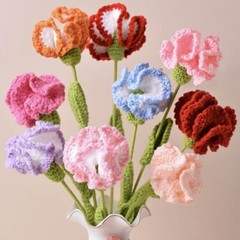10Pcs Handwoven Carnation Flower,Knitted Carnation Flower Carnation(10colors)