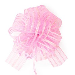 Allgala 12-pc 6 Inch Large Everyday Pull Bows