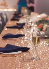 Wedding Rose Gold Sequin Clothes, Three Dimensions in photo. Asking $100 or BO.