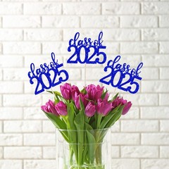 ALISSAR 12 Pack Pre-assembled Double Sided Class of 2025 Graduation Blue