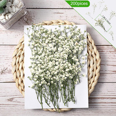 100 Pcs Wedding Invitations Wraps Set Include Pre Folded Vellum Jackets for 5 X