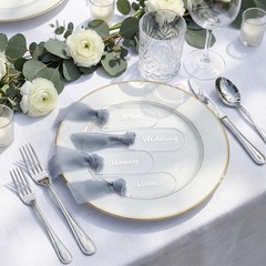 24 Pcs Acrylic Place Cards Wedding Clear 3.54×1.77 Inch Blank Dusty Blue Ribbon