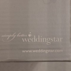 WEDDINGSTAR WEDDING CAKE TOPPER COUPLE ON THE BEACH