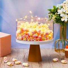 2 Pcs Clear Acrylic Cake Stands with LED Strings – Fillable Dessert Risers for P